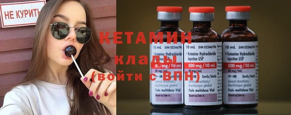 шишки Абаза