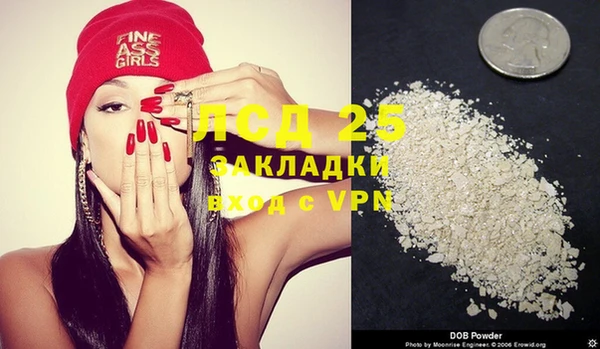 шишки Абаза