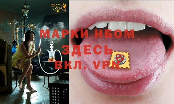 шишки Абаза