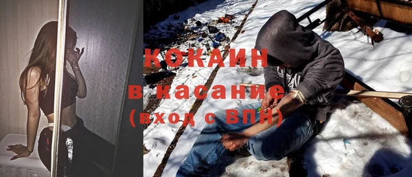 шишки Абаза