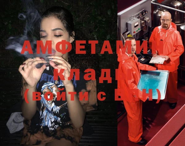 шишки Абаза