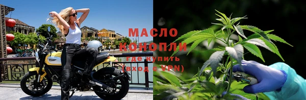 шишки Абаза
