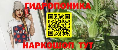 гидропоника Гусев