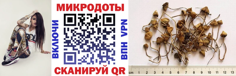 Псилоцибиновые грибы мицелий  МЕГА сайт  Кизляр 