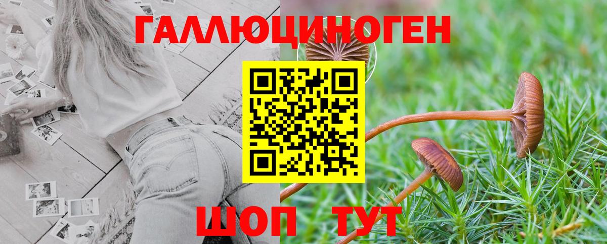 Кизляр  Галлюциногенные грибы мицелий  Псилоцибиновые грибы мухоморы  Вход с VPN 